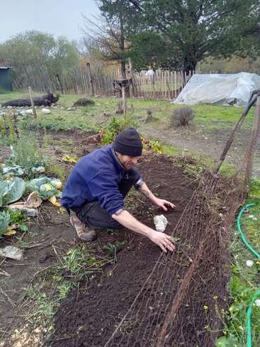 Une personne portant un bonnet et des vêtements sombres est agenouillée dans un jardin, soignant la terre derrière une clôture métallique, entourée de plantes et d'un paysage rural.