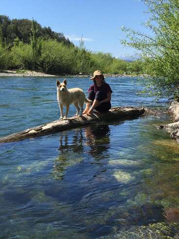 A person wearing a hat sits on a log over a clear river, accompanied by a dog. Lush green trees and blue sky surround them.