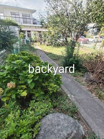 Esta imagem mostra um quintal com arbustos verdes, um caminho de concreto, pedras e árvores. Você pode ver uma casa com uma varanda e carros estacionados. Texto "Backyard" (Quintal).