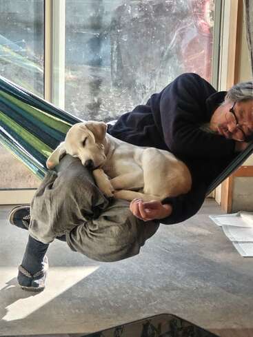 A man and a puppy are peacefully napping together in a hammock by a window, basking in sunlight, radiating warmth, comfort, and companionship in a cozy room.