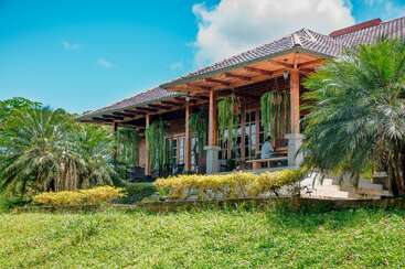 Une maison rustique avec un toit en tuiles et une véranda en bois, entourée de plantes tropicales, de verdure luxuriante, d'arbustes jaunes et de fougères suspendues sous un ciel d'un bleu éclatant.