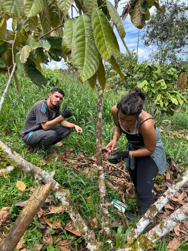 Deux personnes travaillent ensemble dans un cadre extérieur verdoyant, s'occupant de plantes ou d'arbres. L'une s'agenouille pour inspecter de près, tandis que l'autre s'accroupit à proximité pour observer.