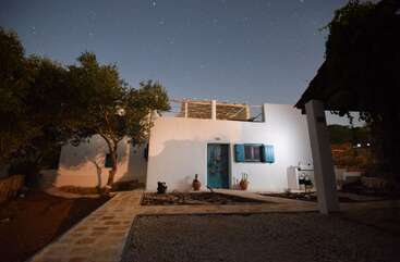 A charming white house with blue shutters stands under a star-filled night sky, surrounded by trees, potted plants, a stone path, and peaceful tranquil ambiance.