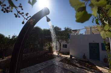 Sunlight shines down on an outdoor shower, water sparkling in midair, surrounded by trees and a white house with blue shutters on a clear day.