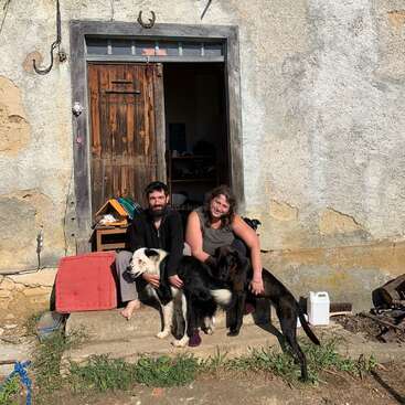L'image représente un homme et une femme assis sur les marches d'un bâtiment rustique, entourés de deux chiens, avec une porte en bois et une chaise rouge à l'arrière-plan.