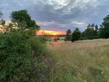 A imagem mostra uma paisagem serena com um campo de grama alta, árvores e um pôr do sol vibrante à distância, em um céu nublado.