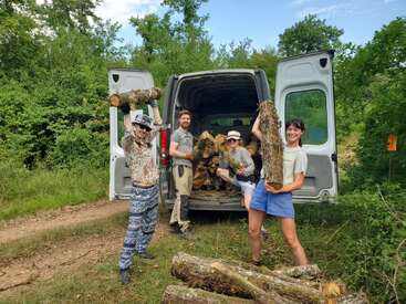 Four people happily unload logs from a van in a lush, green forest setting. They are smiling, posing energetically, and appear to enjoy the teamwork.