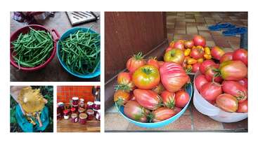 This image collage displays bowls of fresh green beans, an assortment of colorful heirloom tomatoes, a handful of mushrooms, and several jars of homemade preserves.