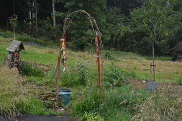 A imagem mostra um jardim ou quintal com uma cerca de madeira, com uma árvore, arbustos e um gramado, com uma casa visível ao fundo. A cena é serena e pacífica.