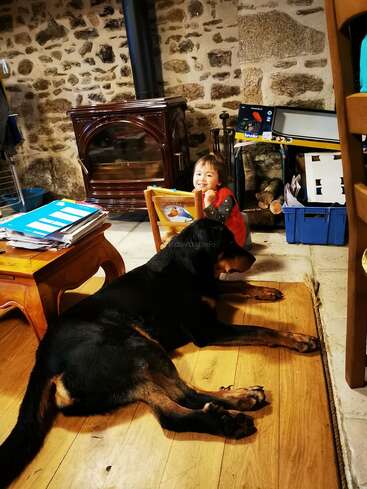 A smiling toddler sits near a stove, leaning on a small wooden chair. A large black and brown dog lies comfortably on the wooden floor nearby. Cozy scene.