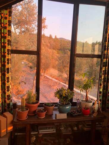 La imagen muestra una habitación serena con una gran ventana que ofrece vistas a los árboles y a un camino de tierra, con una mesa de madera con plantas en macetas y algunos objetos decorativos.