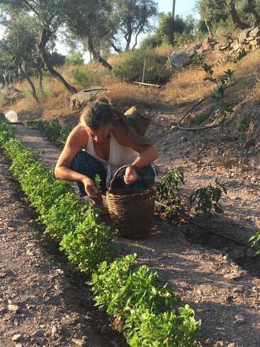 Una mujer está agachada en un jardín, cuidando las plantas con una cesta cerca, rodeada de árboles y una ladera rocosa en un día soleado.