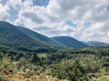 La imagen representa un sereno paisaje montañoso con exuberante vegetación y árboles, enmarcado en un cielo nublado, que evoca una sensación de belleza natural y tranquilidad.