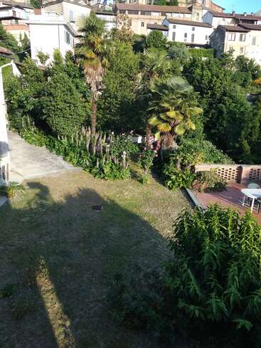 Um jardim ensolarado com palmeiras, arbustos verdes e flores, cercado por casas. Há um pátio com uma mesa e cadeiras, que projetam longas sombras.