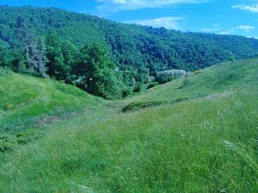 Une vallée verdoyante aux collines vallonnées, couvertes d'herbe et d'arbres, qui s'étend jusqu'à une forêt dense sous un ciel bleu éclatant parsemé de nuages.