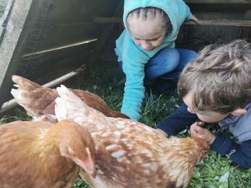 Das Bild zeigt zwei Kinder, die neben den Hühnern in einem Hühnerstall hocken, umgeben von Gras und Blättern. Die Kinder schauen sich die Hühner an.