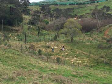 Das Bild zeigt eine ruhige Hügellandschaft mit üppigem grünen Gras, Bäumen und Sträuchern und drei Personen, die auf einem Feldweg inmitten der Natur stehen.