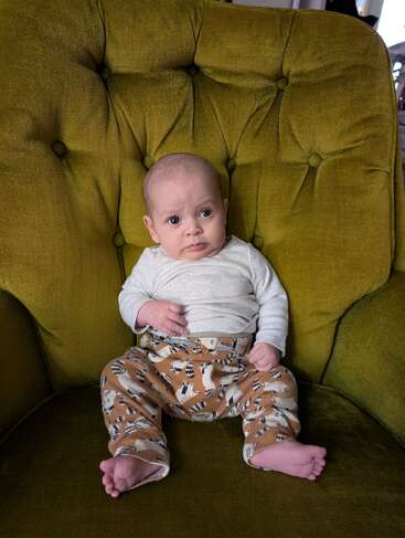 Un bébé est assis sur une chaise capitonnée verte ; il porte un t-shirt gris clair et un pantalon à motifs représentant des renards ; il a l'air un peu curieux et pensif, les pieds nus.