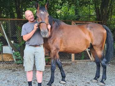 A imagem mostra um homem ao lado de um cavalo marrom com crina e cauda pretas, segurando o cabresto do cavalo em uma área cercada.