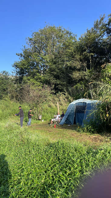 Cuatro personas disfrutan de una acampada en un prado frondoso junto a una tienda de campaña azul, rodeadas de árboles altos bajo un cielo azul y despejado en un día soleado.