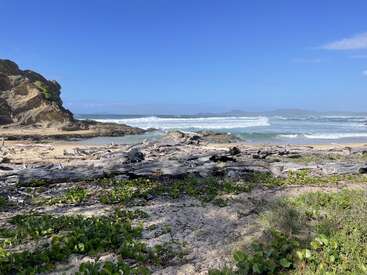 The image depicts a serene beach scene with a rocky cliff on the left, driftwood scattered on the sand, and a vast ocean stretching out to the horizon under a clear blue sky.