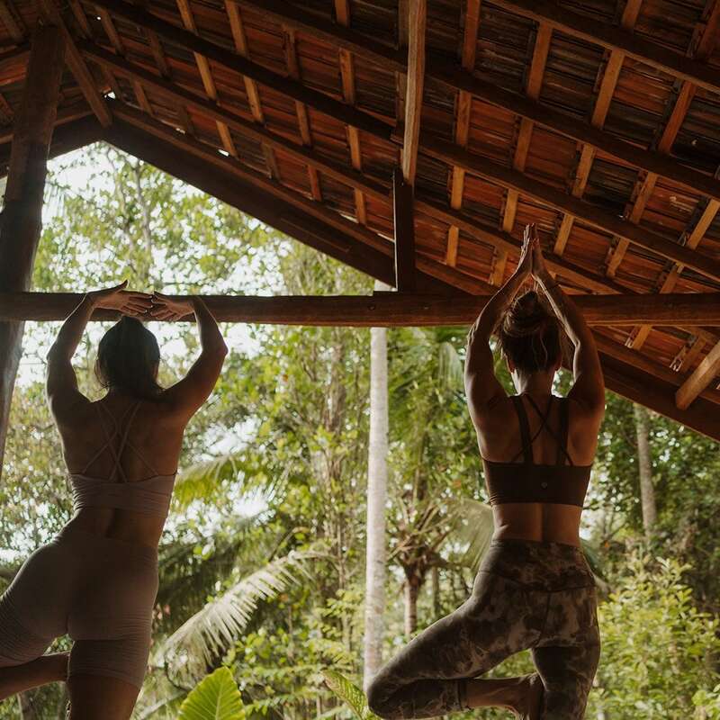 Zwei Frauen machen Yoga unter einem Holzdach, umgeben von üppigem Grün und tropischen Bäumen. In dieser friedlichen Umgebung im Freien balancieren sie auf einem Bein.