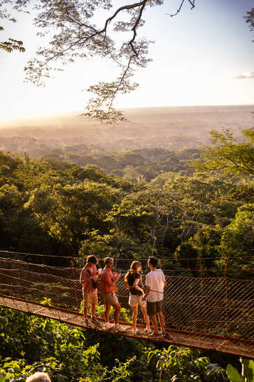 Vier Menschen stehen auf einer Hängebrücke über einem üppig grünen Wald und genießen die Aussicht in der goldenen Stunde, während das Sonnenlicht durch die Bäume und in die neblige Ferne strömt.