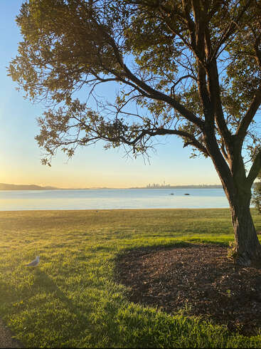L'image représente une scène de parc sereine avec un arbre, de l'herbe et un plan d'eau, avec au loin la ligne d'horizon d'une ville sous un ciel bleu clair.