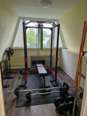 La imagen muestra un gimnasio doméstico con un soporte para pesas, un banco y varias pesas, situado en una habitación con una ventana que ofrece una vista de los árboles y las casas del exterior.