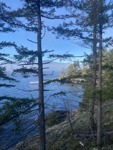 De grands arbres à feuilles persistantes se dressent sur une rive rocheuse en pente surplombant une eau bleue calme, avec un quai en bois et une péninsule boisée au loin sous un ciel clair.
