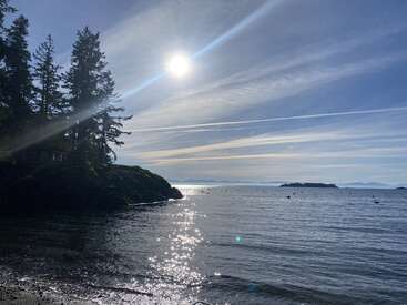 Le soleil brille sur un océan calme, se reflétant sur l'eau. De grands arbres se dressent sur une côte rocheuse, avec des îles lointaines sous un ciel bleu.