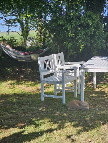 Eine friedliche Gartenszene mit einem weißen Tisch und Stühlen, einer gestreiften Hängematte unter Bäumen und einer roten Katze, die im Schatten auf dem Rasen schläft.