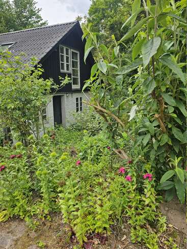 Ein charmantes Häuschen mit dunklem Holz und weißen Wänden schmiegt sich inmitten üppiger Vegetation und bunter Blumen, umgeben von hohen Pflanzen unter einem bewölkten Himmel, und strahlt Ruhe aus.