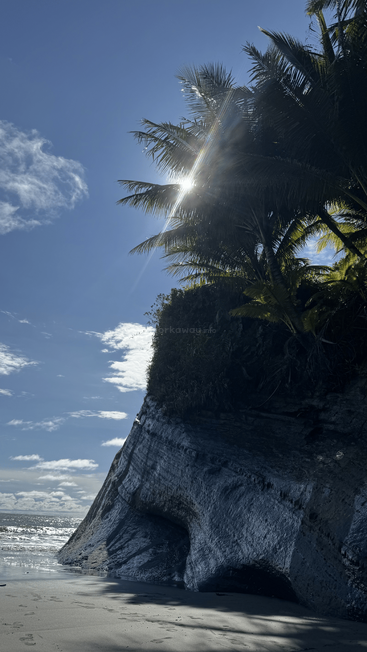 A luz do sol atravessa as palmeiras exuberantes no topo de um penhasco rochoso à beira-mar, projetando sombras dramáticas na praia abaixo, sob um céu azul claro.