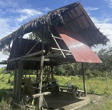 Um abrigo rústico de madeira fica em um campo verde e exuberante. O telhado é parcialmente de palha e metal corrugado, com laterais abertas e um banco simples em seu interior.