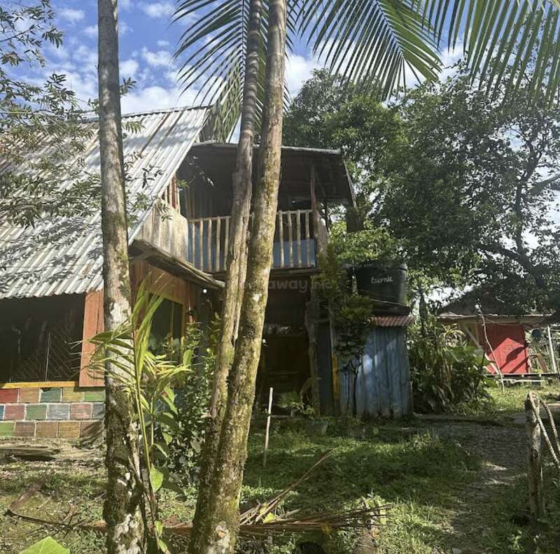 Uma casa de madeira rústica fica em meio a uma vegetação exuberante e palmeiras altas. A casa tem telhado de metal, varanda, tijolos coloridos e um ambiente natural e sereno.