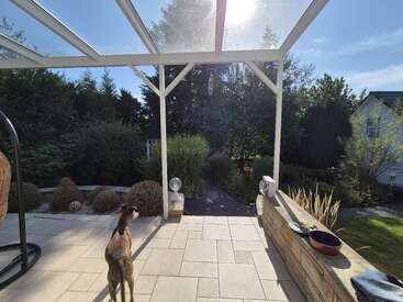 A dog stands on a tiled patio beneath a glass roof, overlooking a lush, green garden under bright sunlight, with bowls and plants on the ledge.