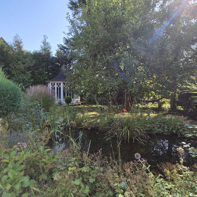 A peaceful garden scene with lush greenery, a small pond, and a charming white gazebo. Sunlight filters through the trees, creating a serene, tranquil atmosphere.