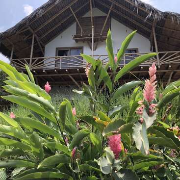 Uma casa rústica com telhado de palha fica atrás de plantas verdes exuberantes e flores cor-de-rosa, sob um céu claro, evocando uma atmosfera tropical, pacífica e serena.