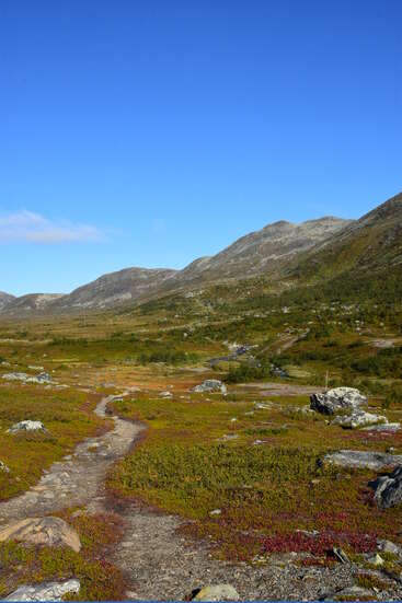 Un sendero rocoso serpentea a través de un valle verde y lleno de vida bajo un cielo azul brillante, rodeado de montañas y rocas dispersas, creando un paisaje natural apacible.
