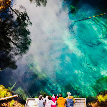 Four people in colorful jackets lean over a wooden platform, admiring a stunning, crystal-clear turquoise spring with reflections of trees and vibrant underwater patterns.
