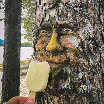 El tronco de un árbol, en cuya corteza se ha tallado un rostro humano con gran detalle, parece sonreír. Cerca del rostro, una mano sostiene un polo de helado a medio comer.