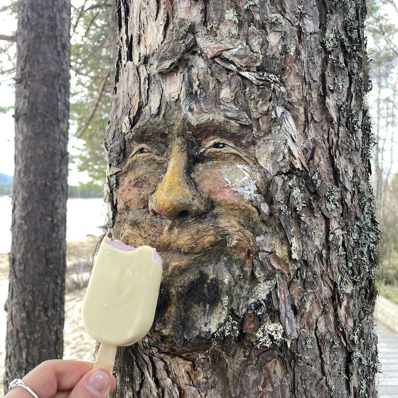 Un tronc d'arbre dont l'écorce est sculptée de manière à former un visage humain d'un réalisme saisissant semble être en train de manger une glace tenue par une main devant lui.