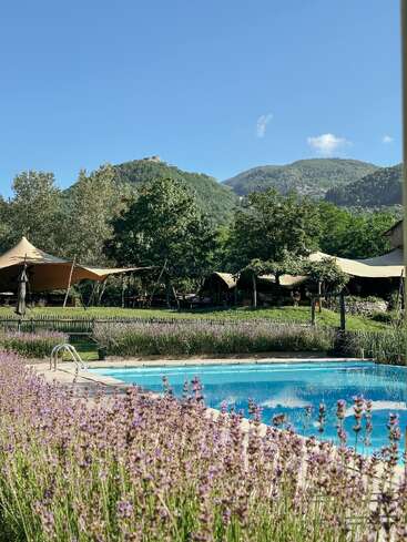 Ein ruhiger Außenpool, umgeben von Lavendelblüten, grünen Bäumen und Zeltplanen, mit sanften Hügeln und einem klaren blauen Himmel im Hintergrund.