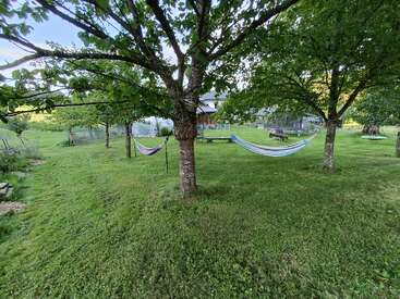 A peaceful backyard scene with lush green grass, several trees, and colorful hammocks strung between them. A house and picnic benches are visible behind.