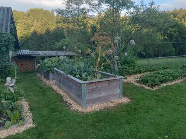 A lush garden scene with raised wooden beds full of vegetables, surrounded by mulch paths, green grass, trees, a shed, and stacked firewood in the background.