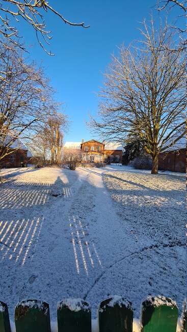 A snowy yard leads to a charming brick house. Bare trees and long shadows stretch under a vivid blue sky, creating a serene winter morning scene.
