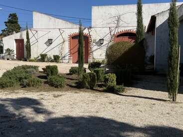 Une cour ensoleillée avec des murs en stuc blanc, des portes et des arches rouges, des cyprès élancés, des arbustes et un aménagement paysager minimaliste, projetant des ombres distinctes sur le sol en gravier.