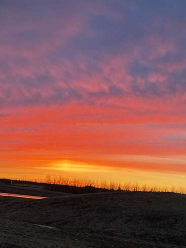Ein atemberaubender Sonnenuntergang taucht den Himmel in leuchtende Orange-, Rot- und Violetttöne. Die sich abzeichnenden Baumkonturen und ein kleiner Teich runden das friedliche Bild ab.
