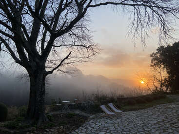 A tranquil sunrise scene features a large, leafless tree, misty mountains, a stone path, reclining chairs, and a small table set. Peaceful countryside morning.
